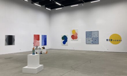 Geometrii și subiectivități conexe la Sector 1 Gallery