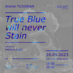 Andrei Tudoran: vernisajul expoziției True Blue will never stain, la galeria Annart